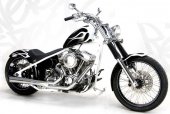 2010 BMC Choppers Hooligan 541 photo